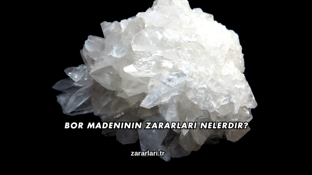 Bor Madeninin Zararları Nelerdir?