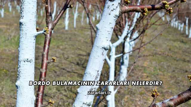 Bordo Bulamacının Zararları Nelerdir?