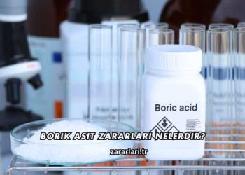 Borik Asit Zararları Nelerdir?