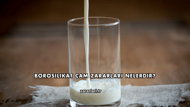 Borosilikat Cam Zararları Nelerdir?
