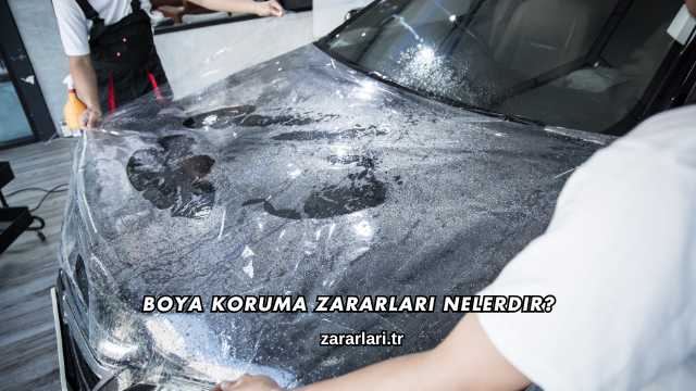 Boya Koruma Zararları Nelerdir?