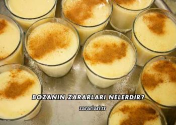 Bozanın Zararları Nelerdir?