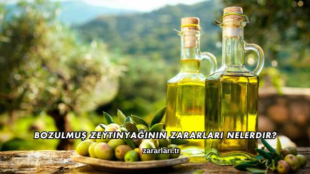 Bozulmuş Zeytinyağının Zararları Nelerdir?