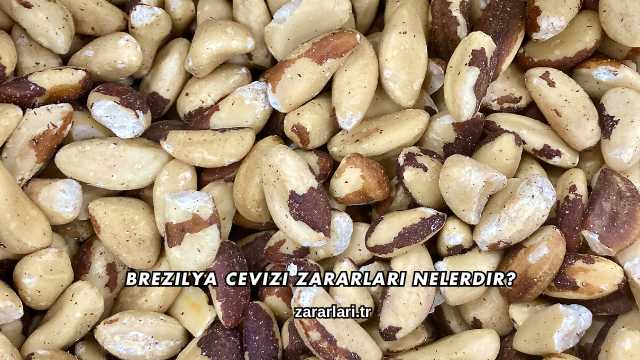 Brezilya Cevizi Zararları Nelerdir?