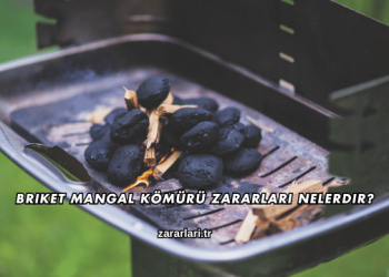 Briket Mangal Kömürü Zararları Nelerdir?
