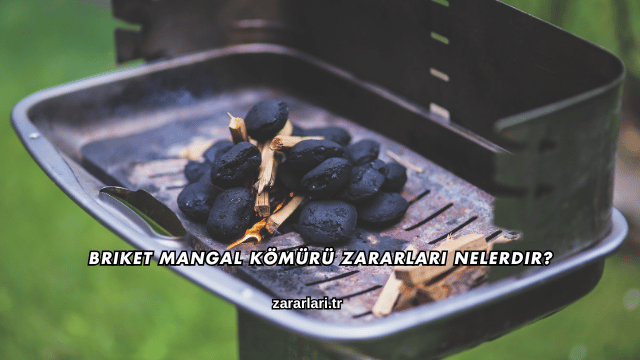 Briket Mangal Kömürü Zararları Nelerdir?