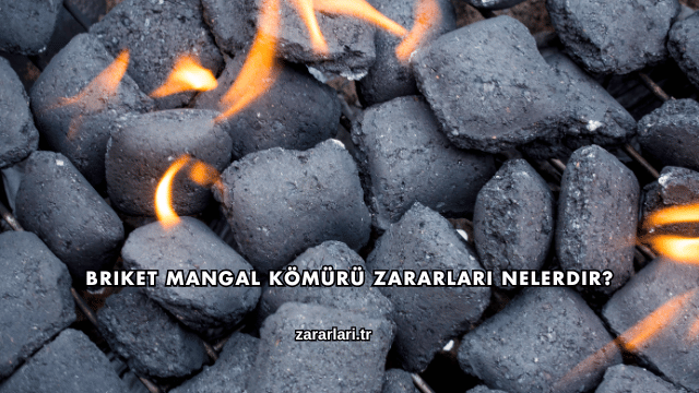 Briket Mangal Kömürü Zararları Nelerdir?