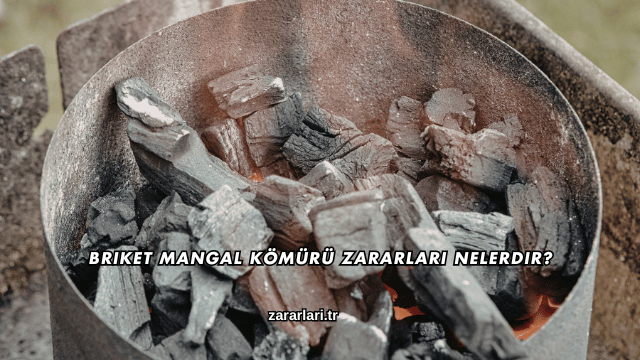 Briket Mangal Kömürü Zararları Nelerdir?