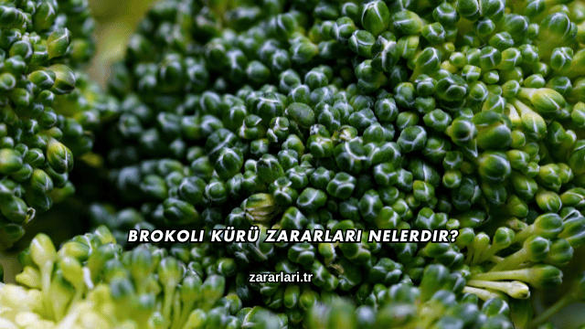 Brokoli Kürü Zararları Nelerdir?