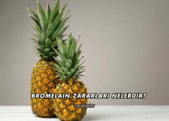 Bromelain Zararları Nelerdir?