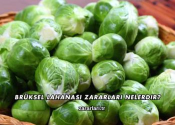 Brüksel Lahanası Zararları Nelerdir?