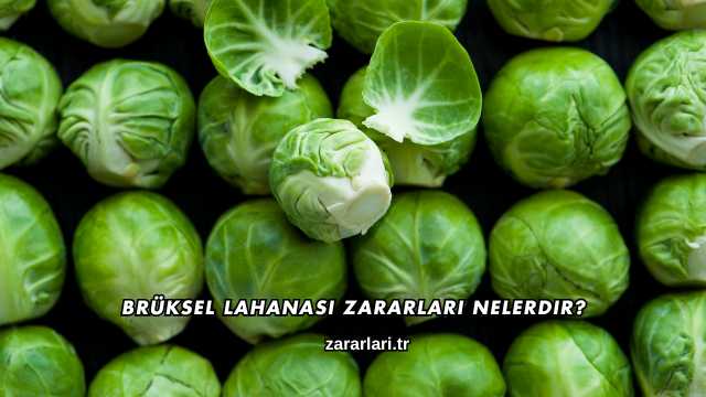 Brüksel Lahanası Zararları Nelerdir?