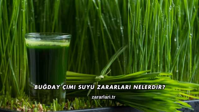 Buğday Çimi Suyu Zararları Nelerdir?