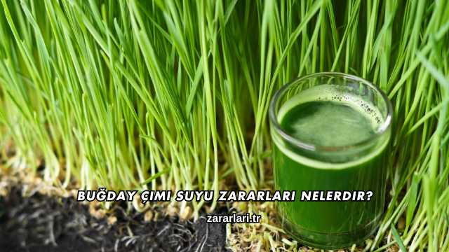 Buğday Çimi Suyu Zararları Nelerdir?