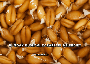 Buğday Ruşeymi Zararları Nelerdir?