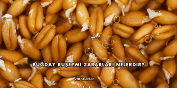 Buğday Ruşeymi Zararları Nelerdir?