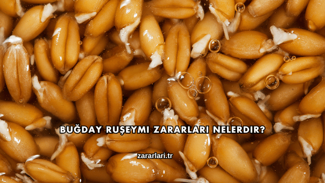 Buğday Ruşeymi Zararları Nelerdir?