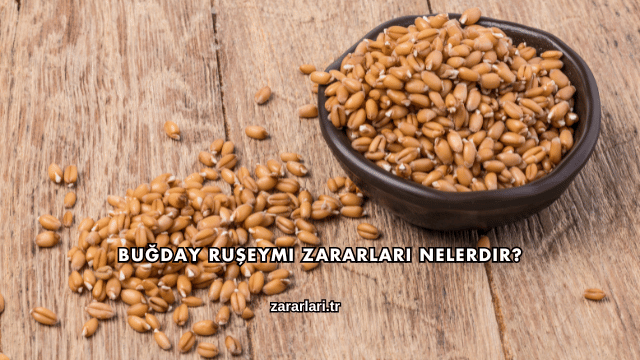 Buğday Ruşeymi Zararları Nelerdir?