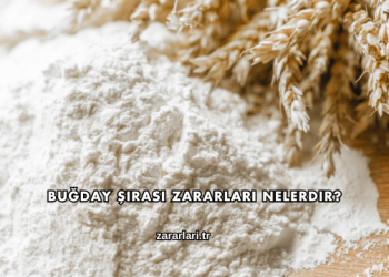 Buğday Şırası Zararları Nelerdir?