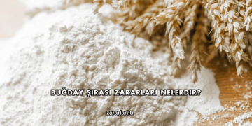 Buğday Şırası Zararları Nelerdir?