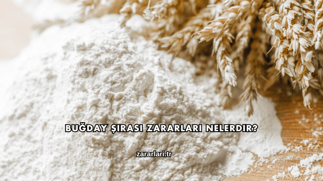 Buğday Şırası Zararları Nelerdir?