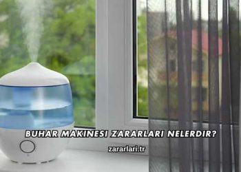 Buhar Makinesi Zararları Nelerdir?