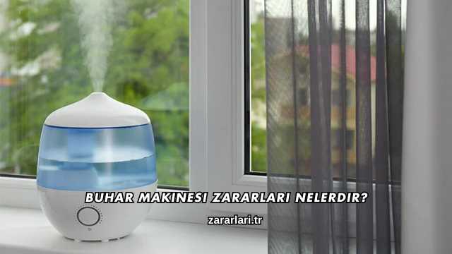 Buhar Makinesi Zararları Nelerdir?