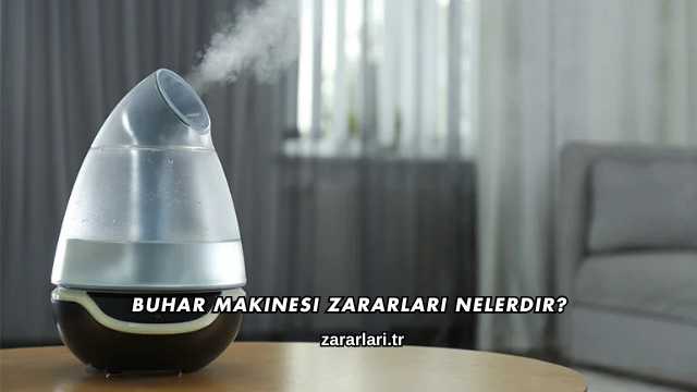 Buhar Makinesi Zararları Nelerdir?