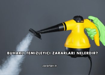 Buharlı Temizleyici Zararları Nelerdir?