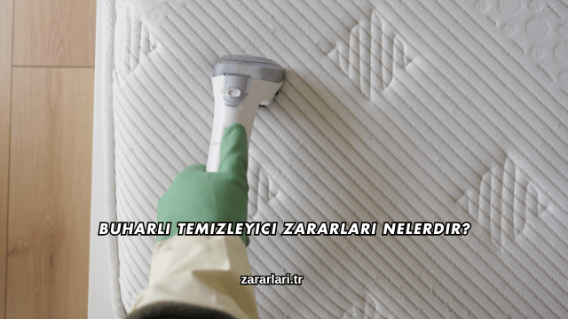 Buharlı Temizleyici Zararları Nelerdir?