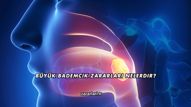 Büyük Bademcik Zararları Nelerdir?