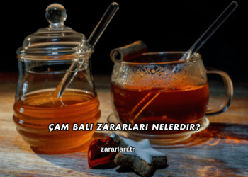Çam Balı Zararları Nelerdir?