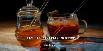 Çam Balı Zararları Nelerdir?
