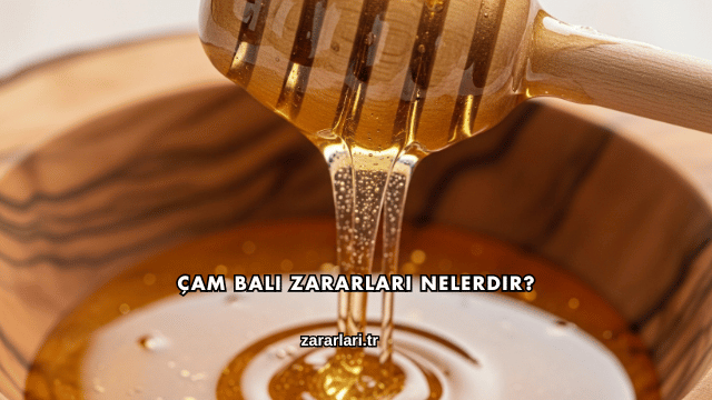 Çam Balı Zararları Nelerdir?