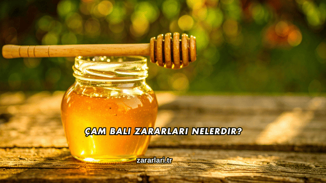 Çam Balı Zararları Nelerdir?