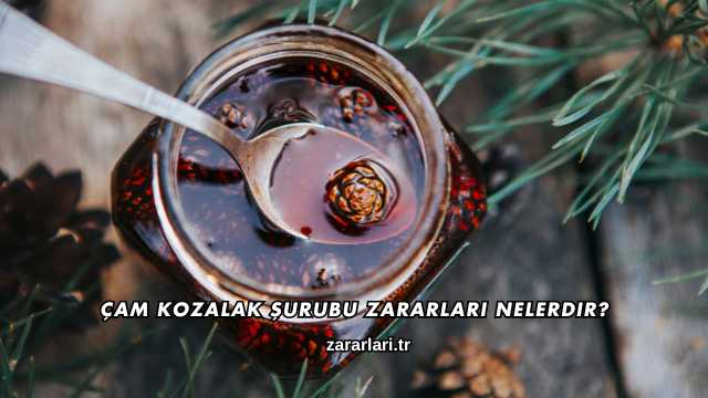 Çam Kozalak Şurubu Zararları Nelerdir?