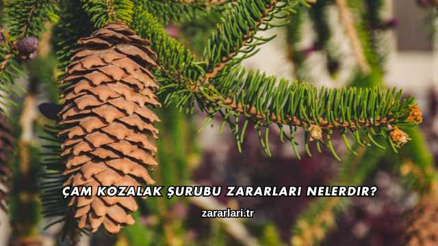 Çam Kozalak Şurubu Zararları Nelerdir?
