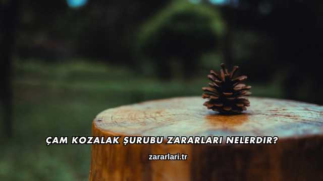 Çam Kozalak Şurubu Zararları Nelerdir?