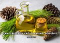 Çam Terebentin Yağı Zararları Nelerdir?