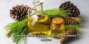 Çam Terebentin Yağı Zararları Nelerdir?