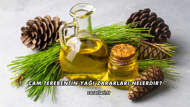 Çam Terebentin Yağı Zararları Nelerdir?