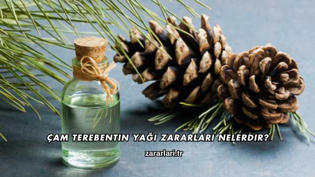 Çam Terebentin Yağı Zararları Nelerdir?