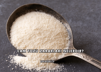 Cam Tozu Zararları Nelerdir?