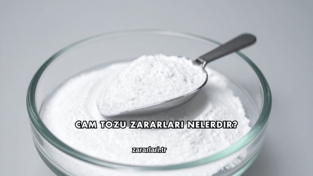 Cam Tozu Zararları Nelerdir?