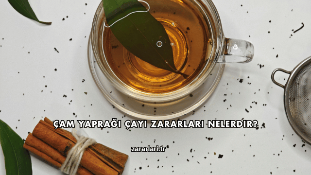 Çam Yaprağı Çayı Zararları Nelerdir?