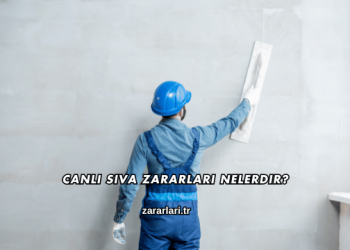 Canlı Sıva Zararları Nelerdir?