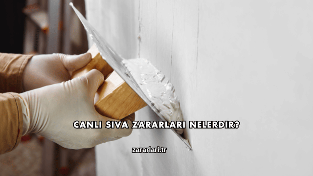 Canlı Sıva Zararları Nelerdir?