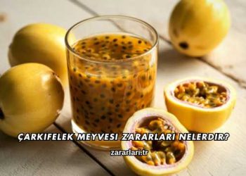 Çarkıfelek Meyvesi Zararları Nelerdir?