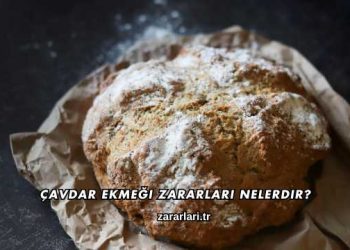 Çavdar Ekmeği Zararları Nelerdir?