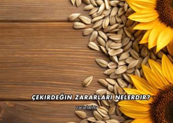 Çekirdeğin Zararları Nelerdir?